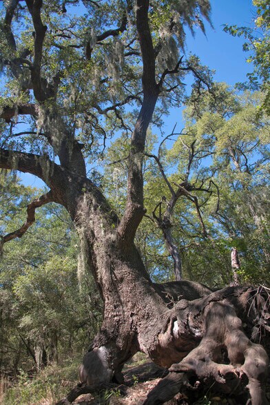 More Photos Of 145 Spring Rd, San Marcos Land For Sale