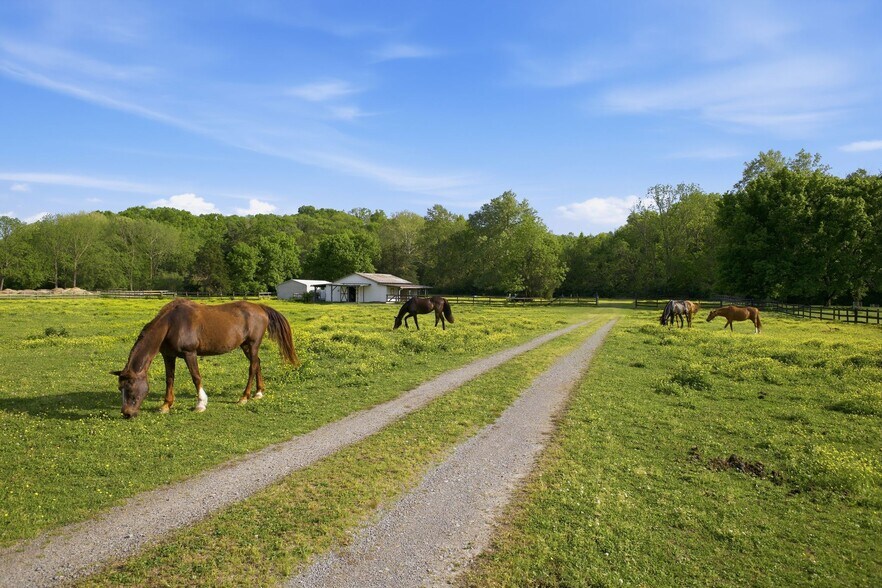 More Photos Of 6515 Holt Rd, Nashville Specialty For Sale