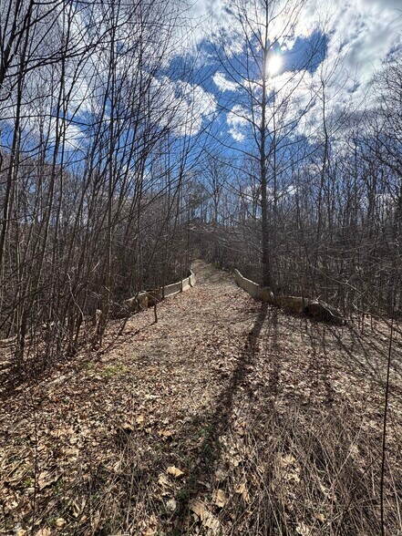 More Photos Of 43 Walnut Lane, Weston Land For Sale