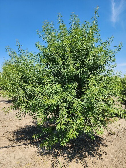 More Photos Of 0 0 Cranmore Rd., Robbins Land For Sale