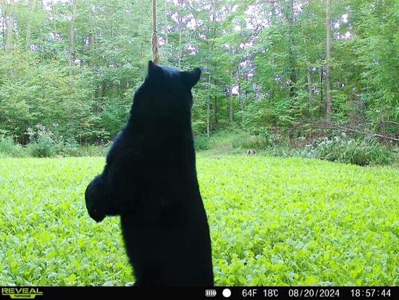 More Photos Of Fisher Road, Iola Land For Sale