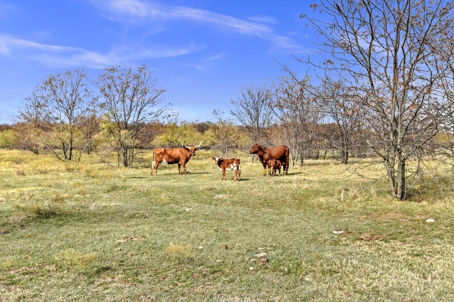More Photos Of TBD Shearer Rd, Pilot Point Land For Sale
