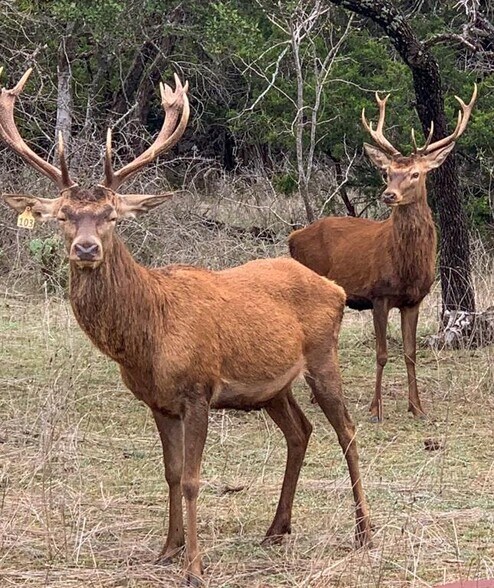 More Photos Of TBD 281 Hwy, Lampasas Land For Sale