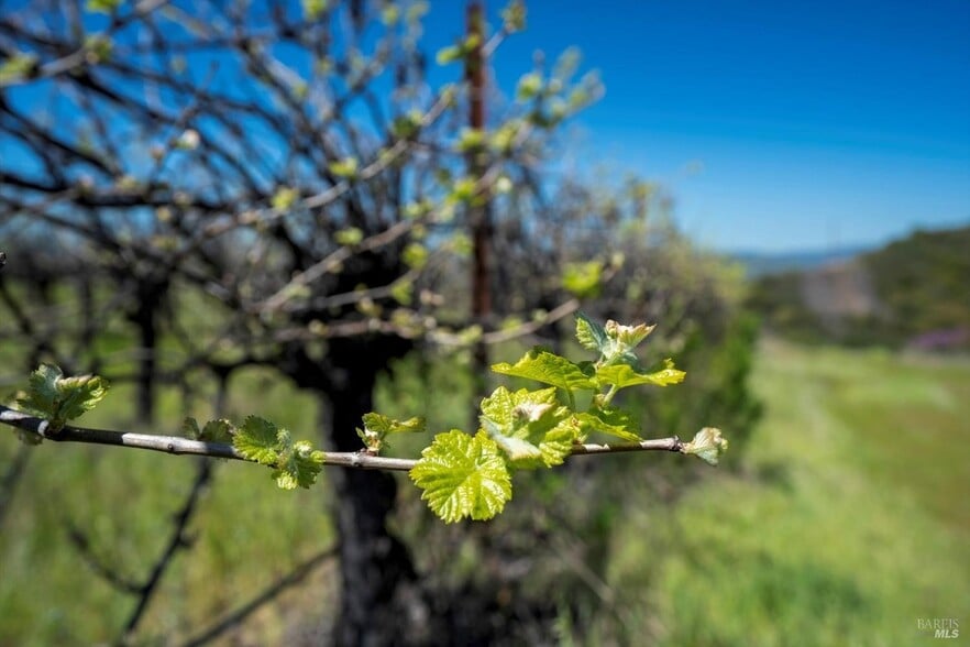 More Photos Of 7590 CA-29 Hwy, Kelseyville Land For Sale