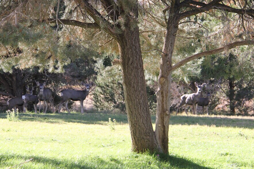 More Photos Of 1627 950 South, Parowan Land For Sale