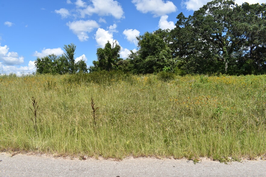More Photos Of 2200 S Royall St, Palestine Land For Sale