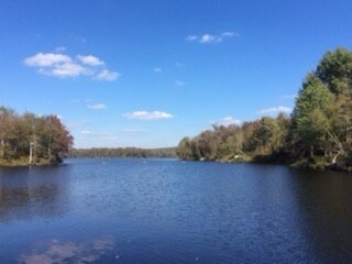 More Photos Of 870 County Route 60, Newton Falls Land For Sale