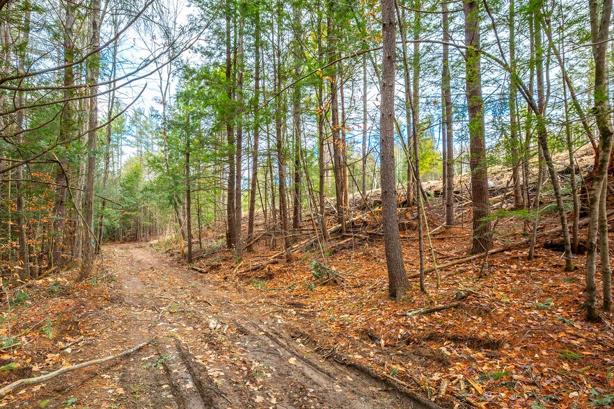 More Photos Of 40 E Putney Brook Rd, Putney Land For Sale