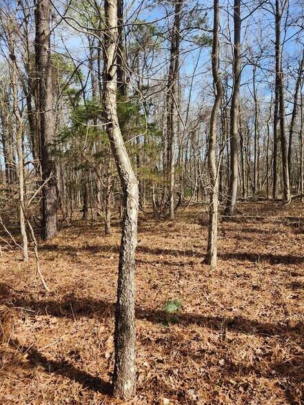 More Photos Of Lot 69 Plantation, Montross Land For Sale