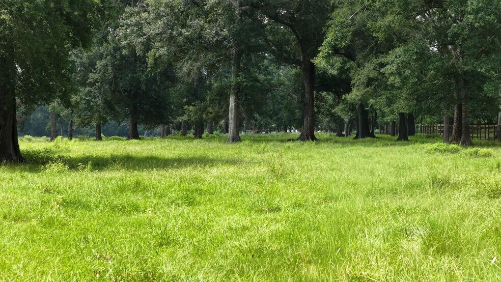 More Photos Of 100 Hill Ranch Ln, New Waverly Land For Sale
