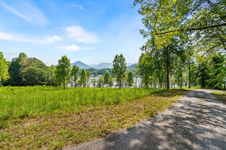 More Photos Of 314 Lakeside dr, Hiawassee Land For Sale