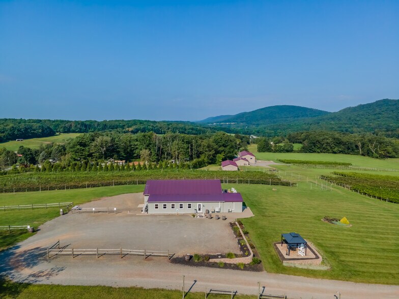 More Photos Of 596 Harman Rd, Halifax Winery Vineyard For Sale
