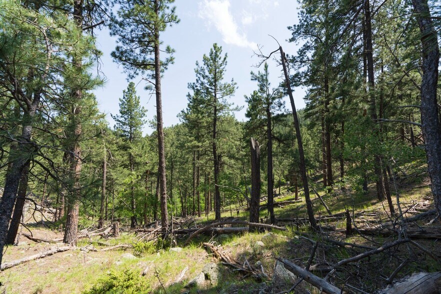 More Photos Of 1201A Old Hill City Rd, Keystone Land For Sale