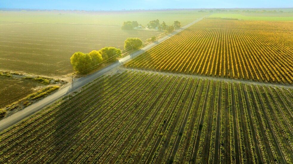 More Photos Of Claussen Ranch Vineyard, Stockton Land For Sale