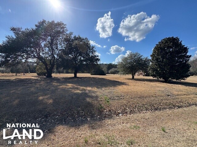 More Photos Of Hwy 421 S. Malpass Corner, Burgaw Land For Sale