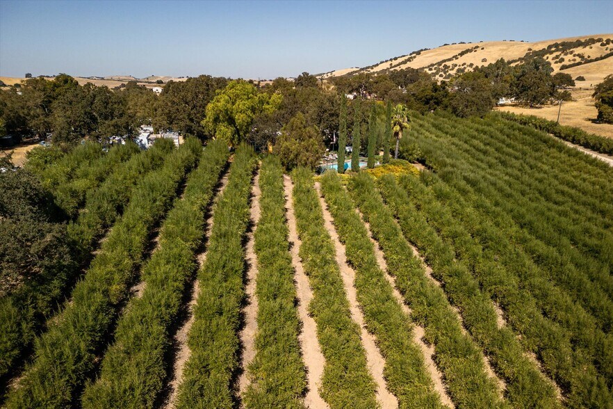 More Photos Of 2985 Templeton Rd, Templeton Winery Vineyard For Sale