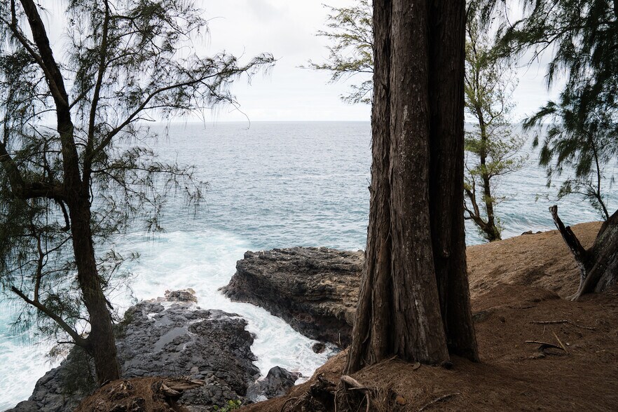 More Photos Of Tract E, Honokaa Land For Sale