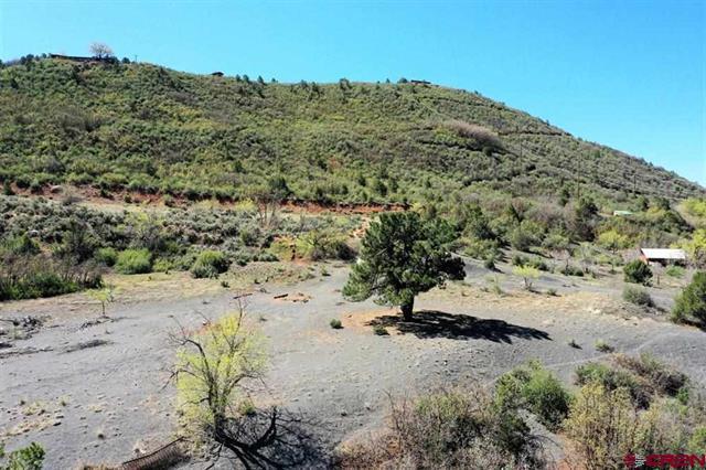More Photos Of 900 Florida Rd, Durango Land For Sale