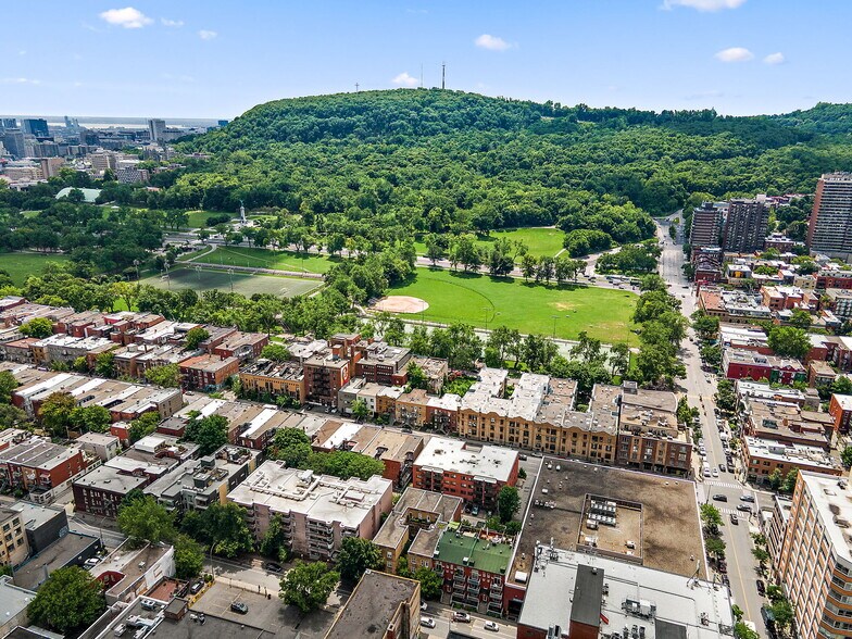More Photos Of 71-81 Av Du Mont-Royal O, Montréal Office For Sale