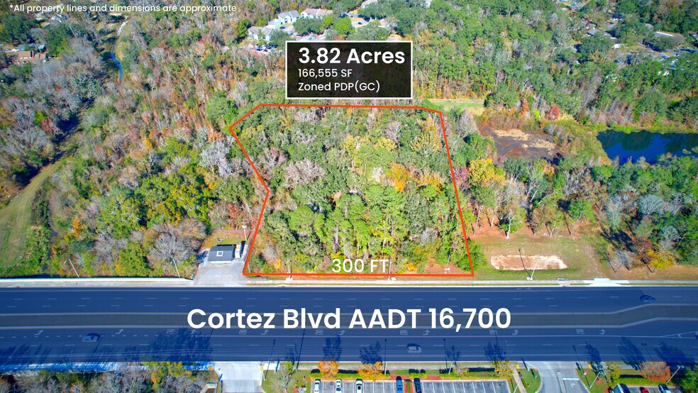 More Photos Of 19301 Cortez Blvd, Brooksville Land For Sale