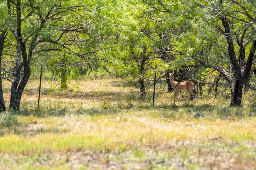 More Photos Of Lot 2 Mariposa Dr, Fredericksburg Land For Sale