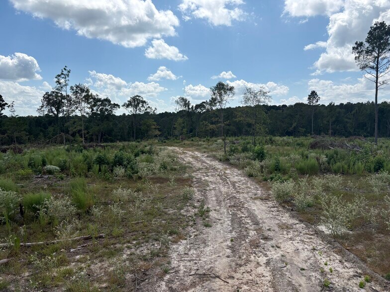 More Photos Of TBD CR 3665 Queen City Texas 20 Acres, Queen City Land For Sale