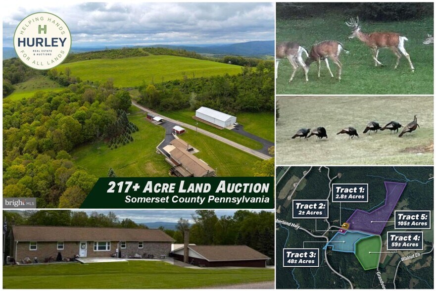 Primary Photo Of 230 Grandview Dr, Hyndman Land For Sale