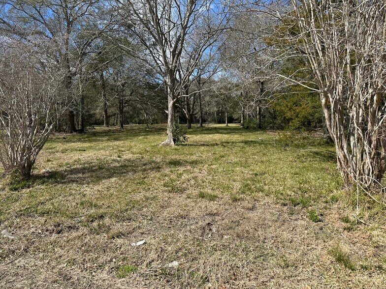 More Photos Of 2690 County 179 rd, Alvin Land For Sale