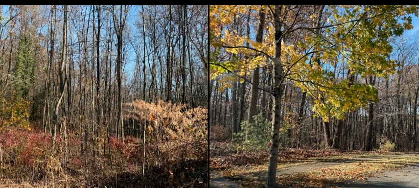 More Photos Of 137 South St, Auburn Land For Sale