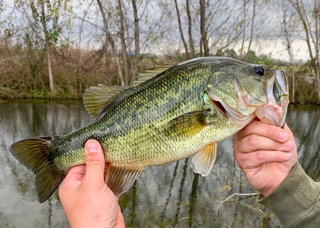 More Photos Of 14134 Penick Rd, Waller Land For Sale