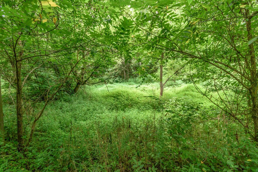 More Photos Of 0 Olentangy River, Delaware Land For Sale