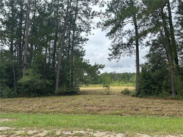 More Photos Of Lot 10 Commerce Row, Mandeville Land For Sale