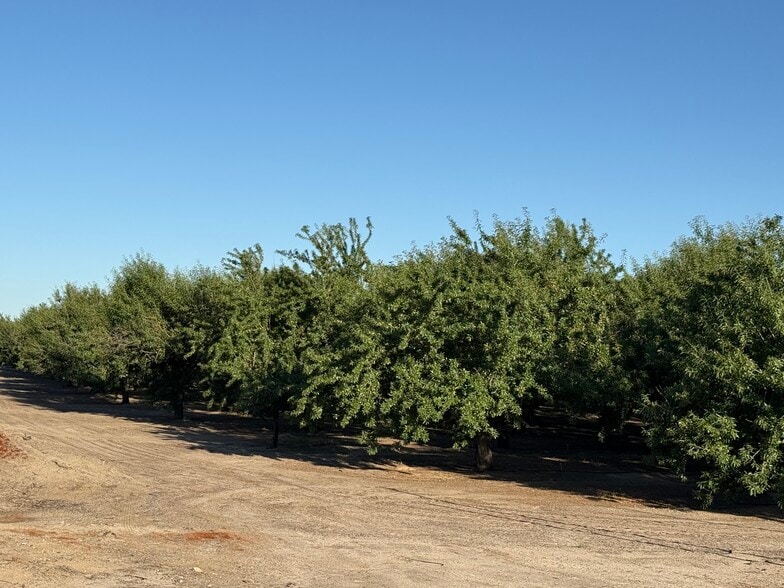Primary Photo Of 2700 North Ave ave, Modesto Land For Sale