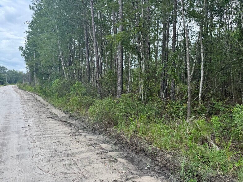 More Photos Of Noah Raulerson Road, Sanderson Land For Sale