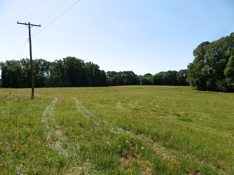 More Photos Of 3168 US Highway 175, Frankston Land For Sale