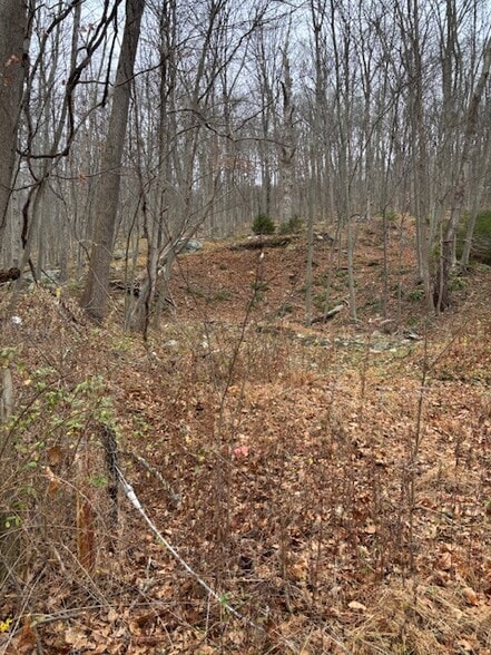 More Photos Of 88 Wiccopee Rd, Putnam Valley Land For Sale