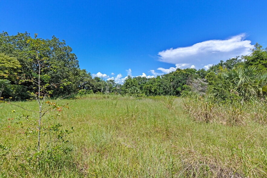 More Photos Of 8th Street, Montverde Land For Sale