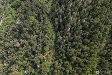 More Photos Of N US Hwy 101, Lilliwaup Land For Sale