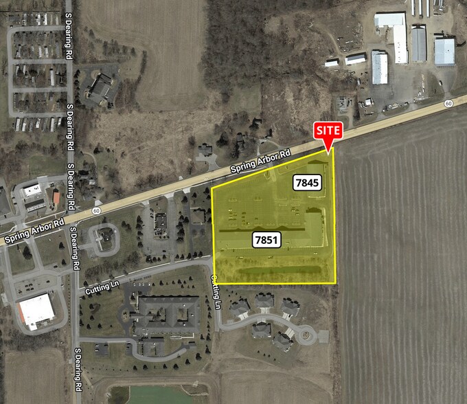 More Photos Of 7845 Spring Arbor Rd, Spring Arbor Freestanding For Lease