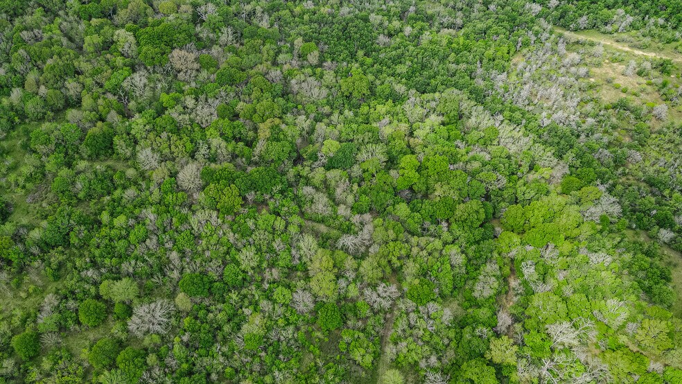 More Photos Of TBD Sparta Field Road, Waelder Land For Sale