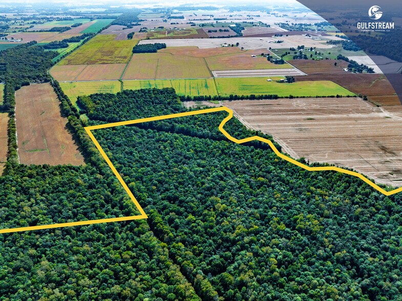 More Photos Of 5675 Millers Mill rd, Philpot Land For Sale