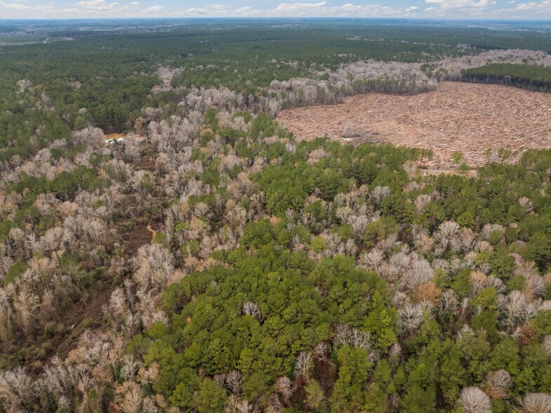 More Photos Of TBD 25 acres Tatoo Road, Glenmora Land For Sale