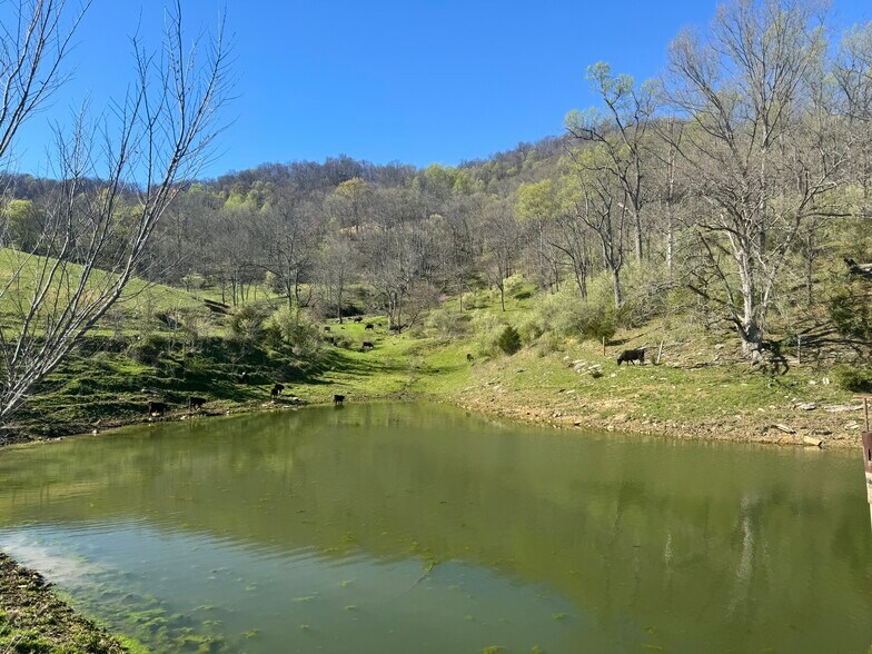 More Photos Of Lucrative Business Property, Jonesville Land For Sale