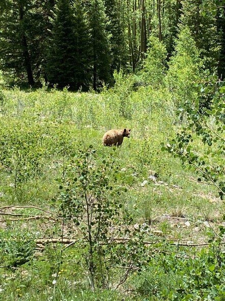 More Photos Of 920 Main St, Ouray Storefront Retail Office For Sale