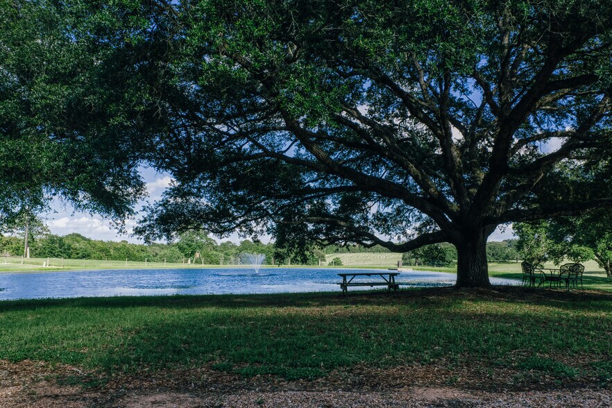More Photos Of 1034 Hilbun Rd, New Ulm Land For Sale