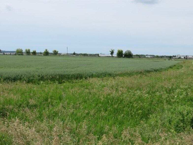 More Photos Of 4944 280th St E, Randolph Land For Sale