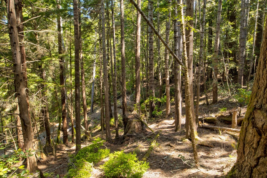 More Photos Of 33170 Frog Pond rd, Little River Land For Sale