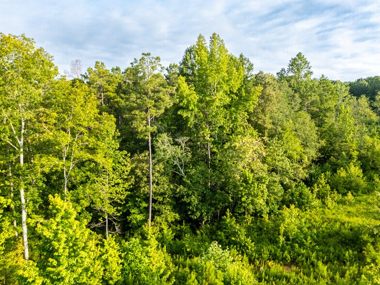 More Photos Of 2199 Roosterville Rd, Roopville Horse Stables For Sale