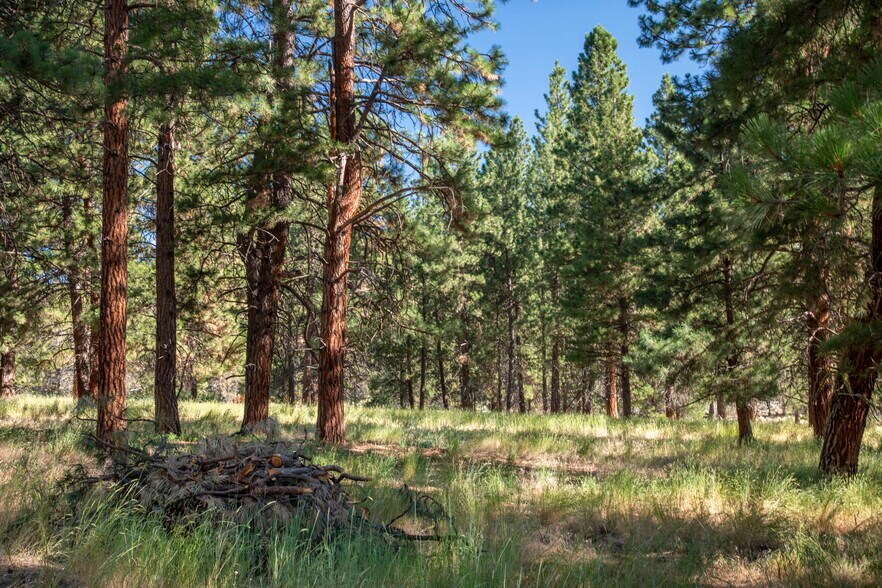 More Photos Of 32611 Tackman Rd, Prineville Land For Sale