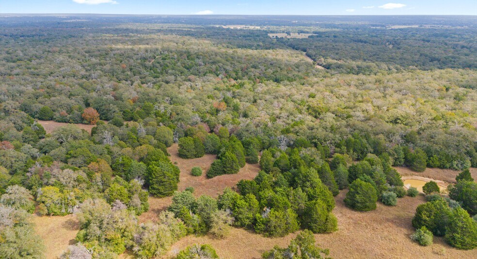 More Photos Of TBD County #415 rd, Lexington Land For Sale